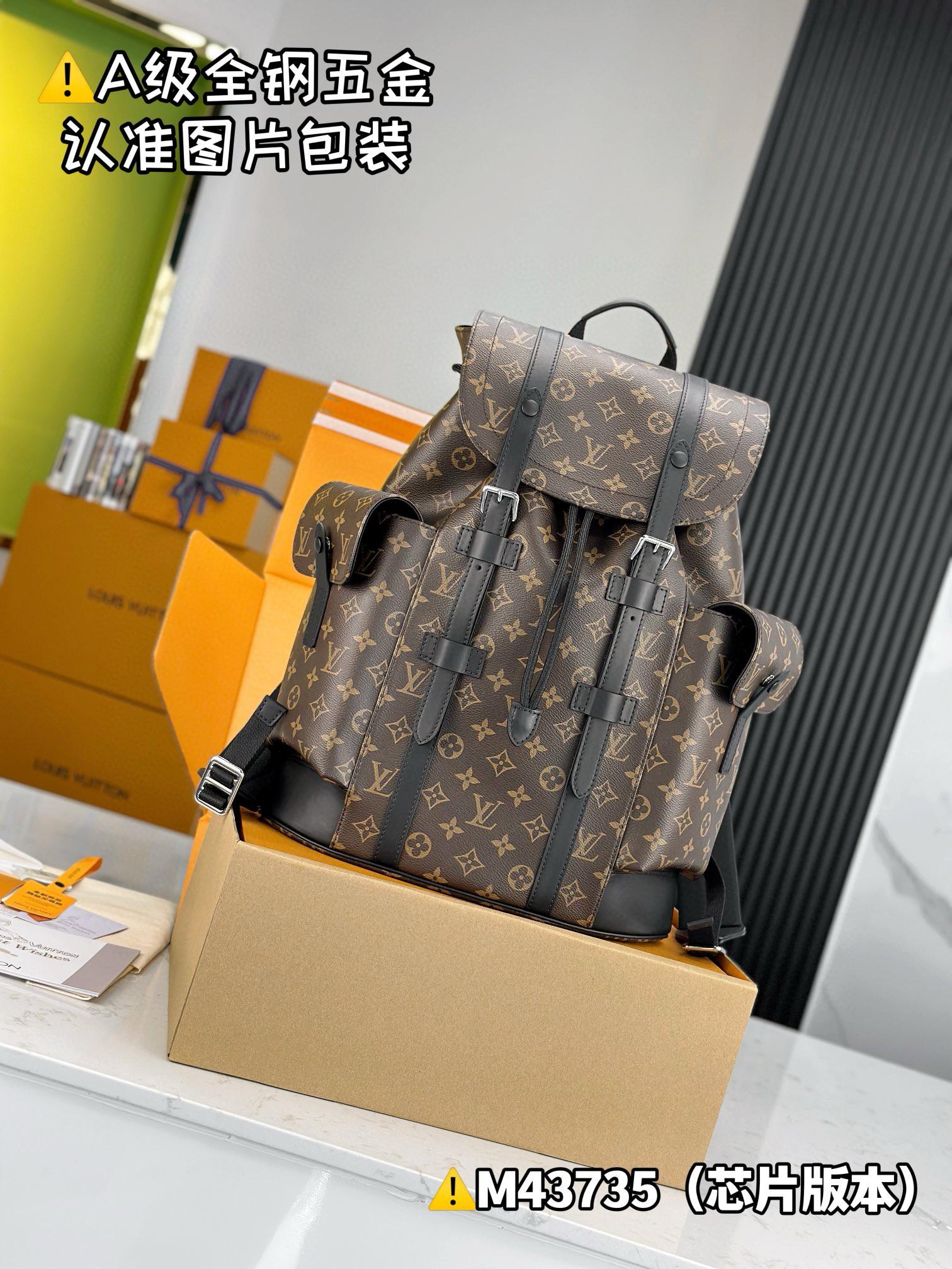 루이비통 M43735 백팩