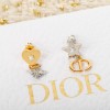디올 귀걸이