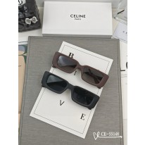 셀린느 2컬러 선글라스