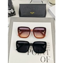 셀린느 2컬러 선글라스